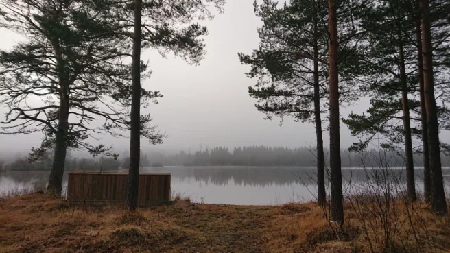 Ser ut mot et vassdrag på høsten, noen trær i forkanten og skumring i bakgrunnen