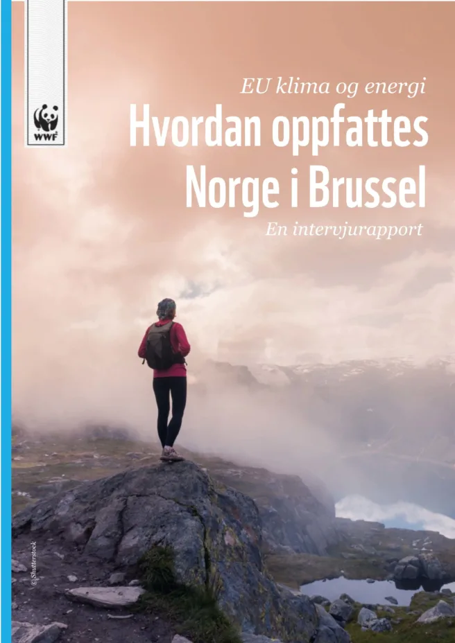 Forsiden av WWFs nye rapport "EU klima og energi: Hvordan oppfattes Norge i Brussel", med et bilde av ryggen til en tyrgåer på en fjelltopp som ser mot en fjellrygg og et vann.