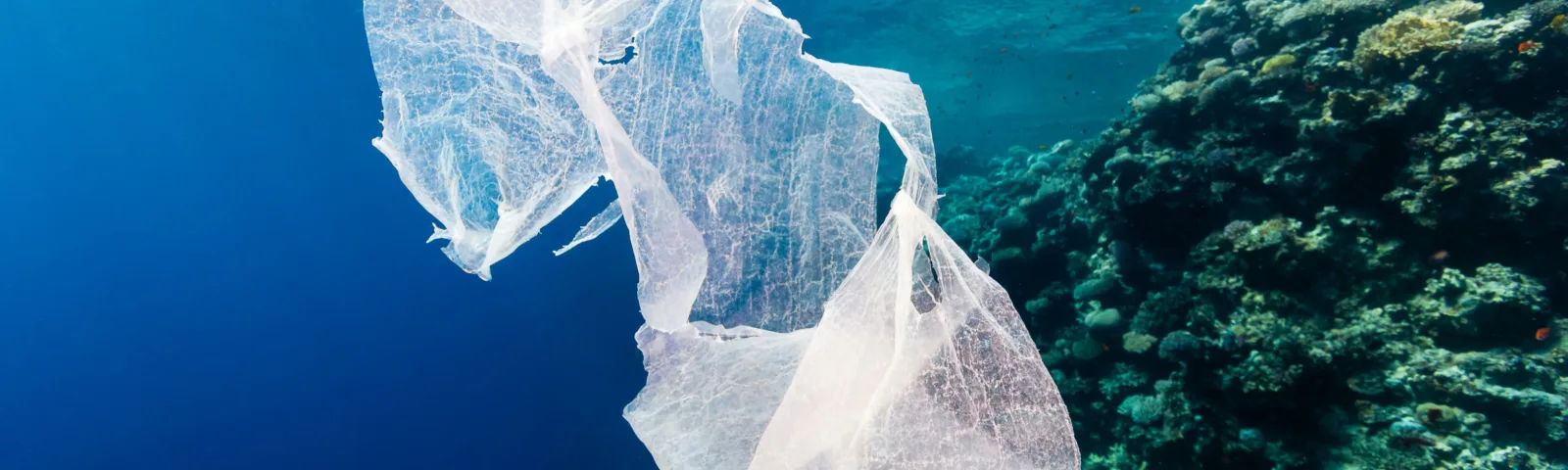 Plast som flyter i havet