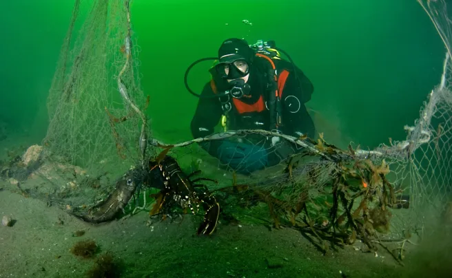 hummer i fiskeutstyr