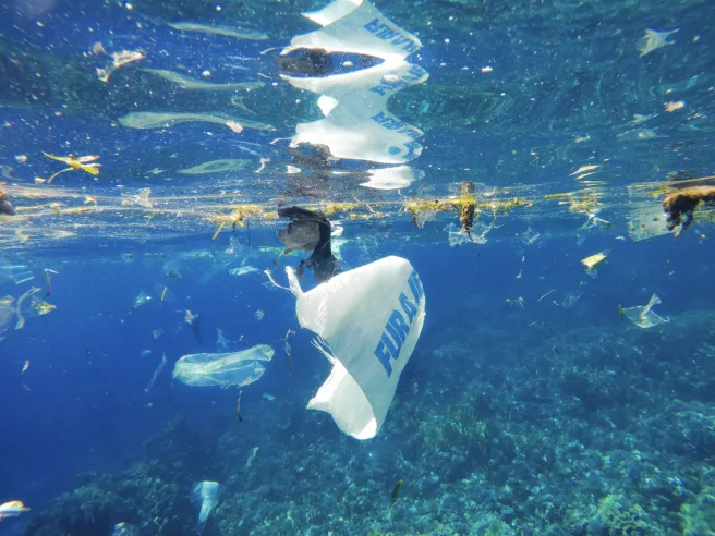 Plast som flyter i havet