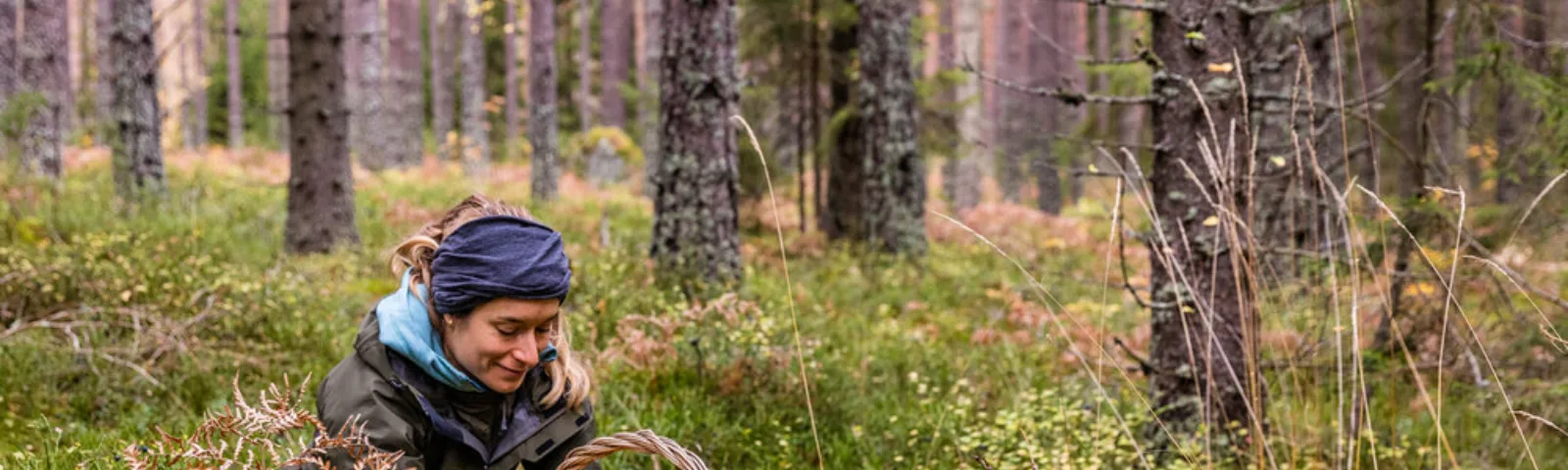 Dame plukker sopp i skogen