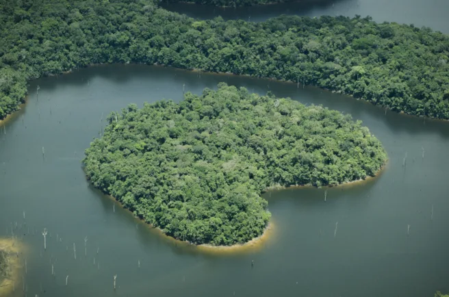 Bilde av Amazonas-elven