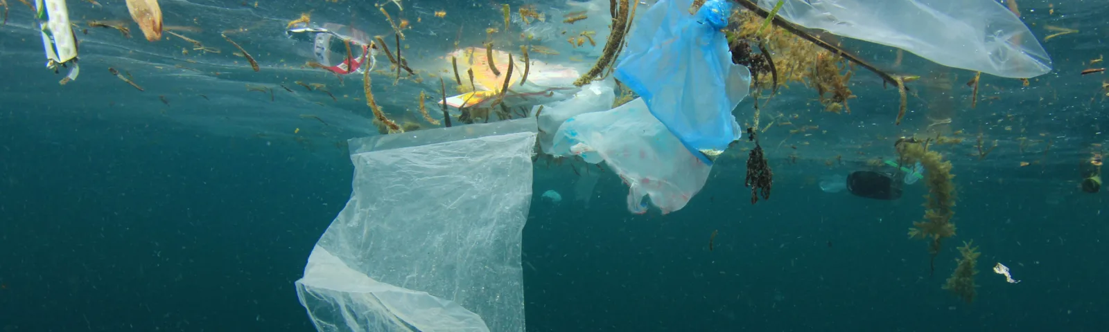 Plastsøppel flyter i havoverflaten, sett fra under vann.