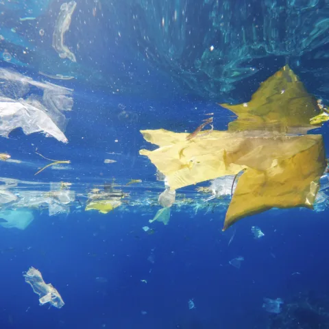 Plast flytende i havet