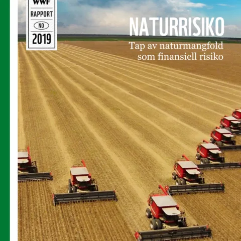 Forsiden av rapporten