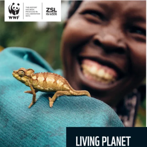 Forsiden til WWFs Living Planet Report 2020