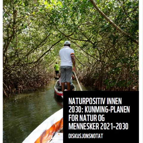 Rapportforside