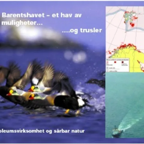 Forsiden av rapporten