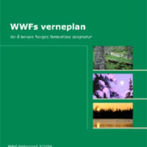 Forsiden av rapporten