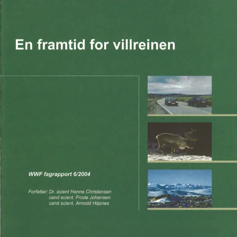 Forsiden av rapporten