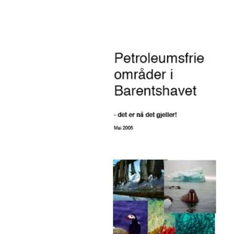 Forsiden av rapporten