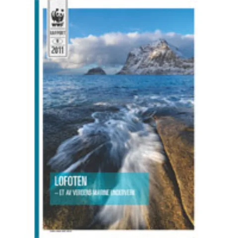 Forsiden av rapporten
