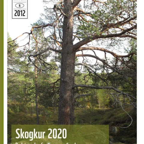 Forsiden av rapporten