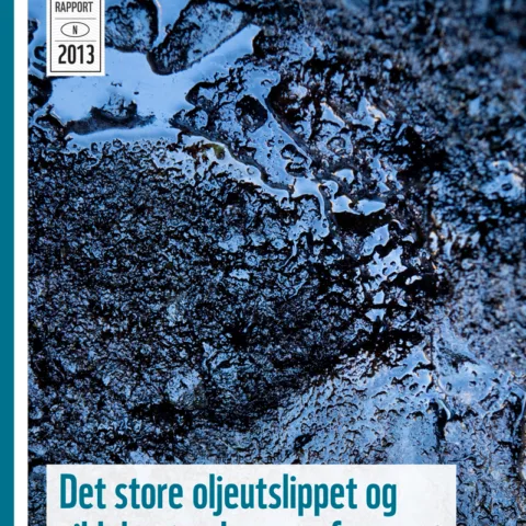 Forsiden av rapporten