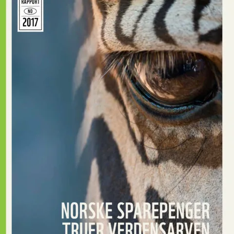 Forsiden av rapporten
