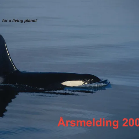 Forsiden av rapporten