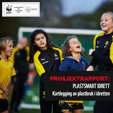 Prosjektrapport