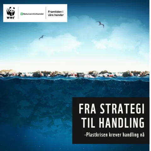 Plastberg i havet