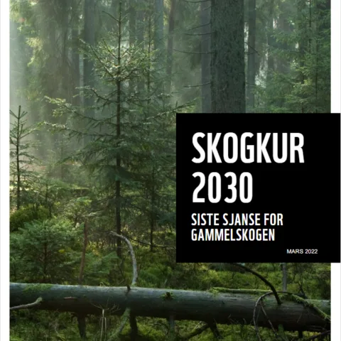 Forside av rapport