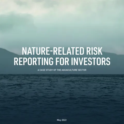 Rapportforside