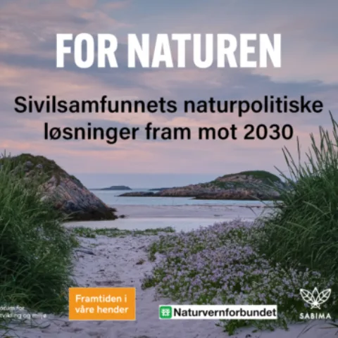 Rapportforside
