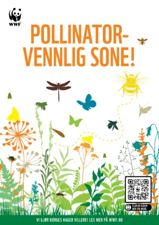Hvit bakgrunn med fargerike illustrasjoner av blomster og pollinatorer