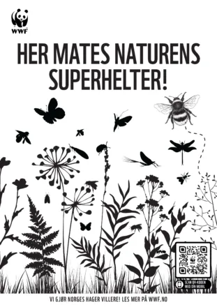 Hvit bakgrunn med sorte illustrasjoner av blomster og pollinatorer