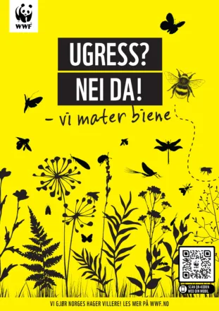 Gult illustrasjon skilt av vilde blomster og pollinatorer