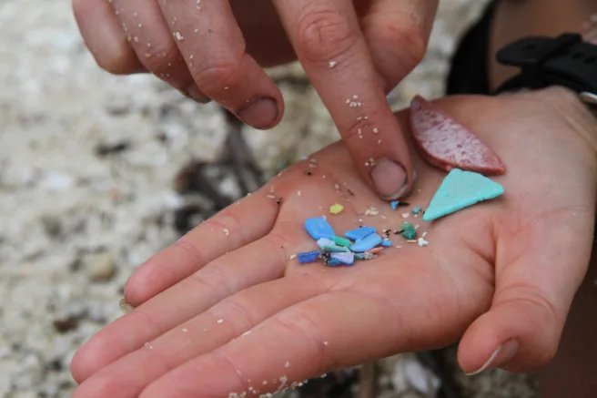 Mikroplast funnet på Milman Island, et viktig hekkeområde for havskilpadder i Great Barrier Reef, Australia.
