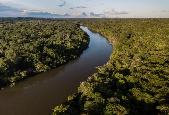 Luftfoto av Amazonas-skogen og den røde elven som snor seg gjennom trærne.