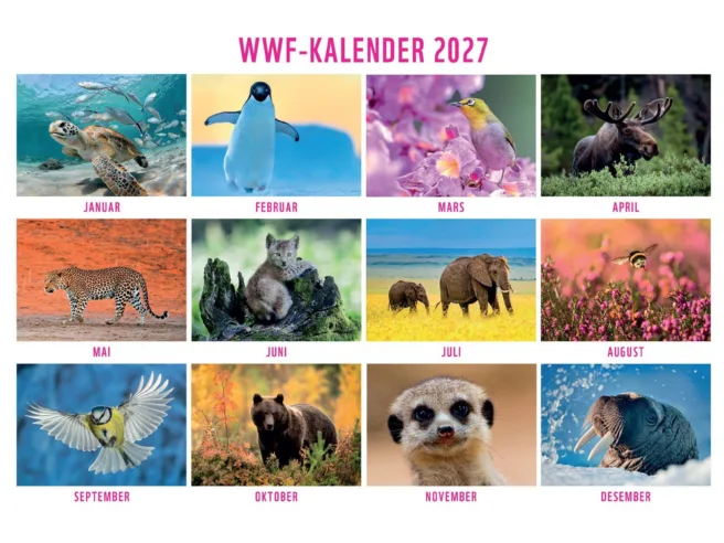 Bilde av kalenderen.