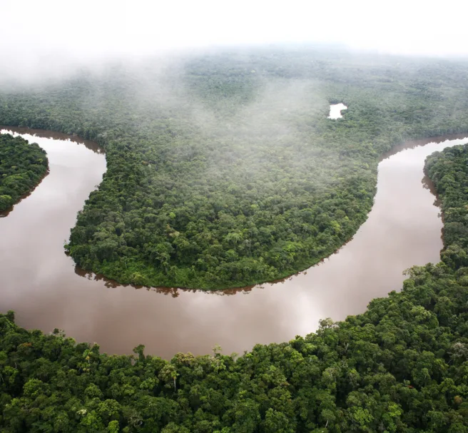 En elv i Amazonas sees mellom grønne trær og under skyer