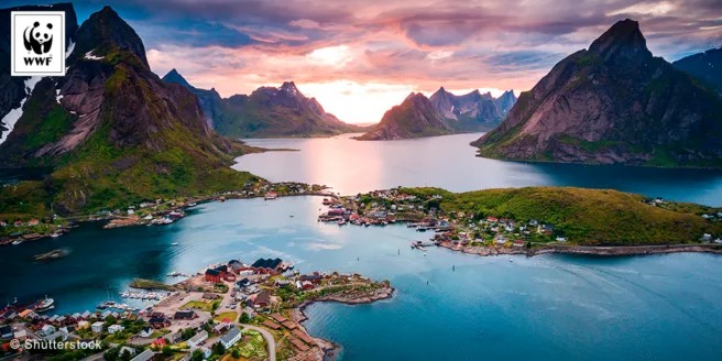 Lofoten i solnedgang.