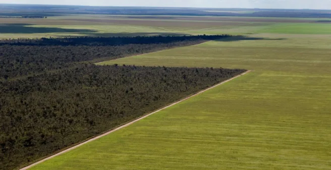 Flyfoto av en regnskog i Brasil, der store områder er erstattet med åkere.