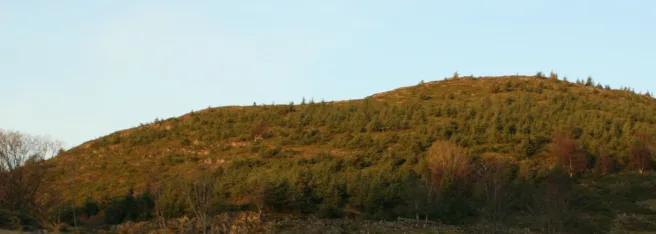 En ås i kystlandskapet dekket av sitkagran