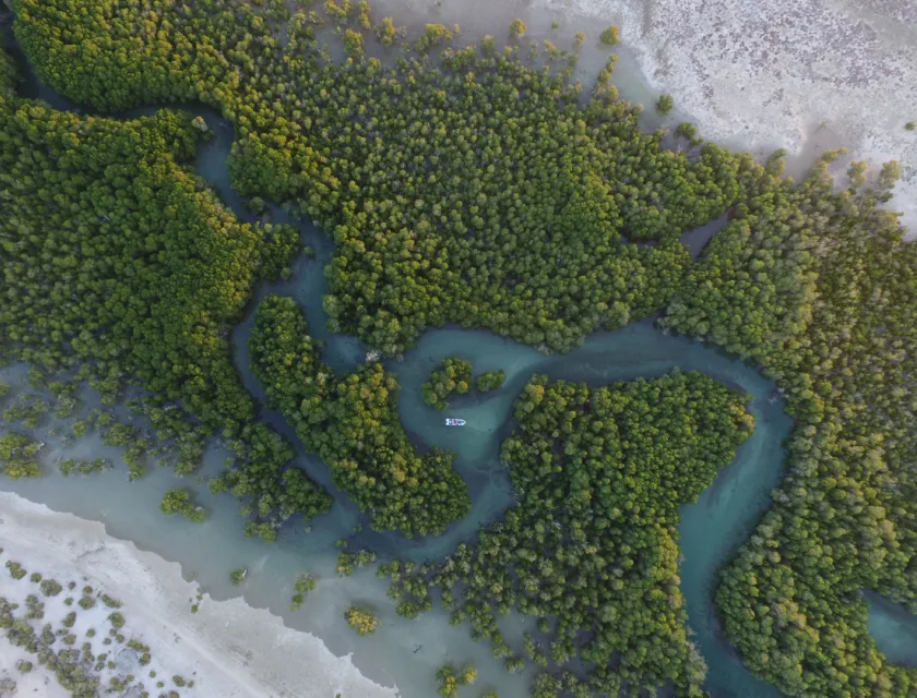Aerial view of mangroves, Morondava, West Madagascar